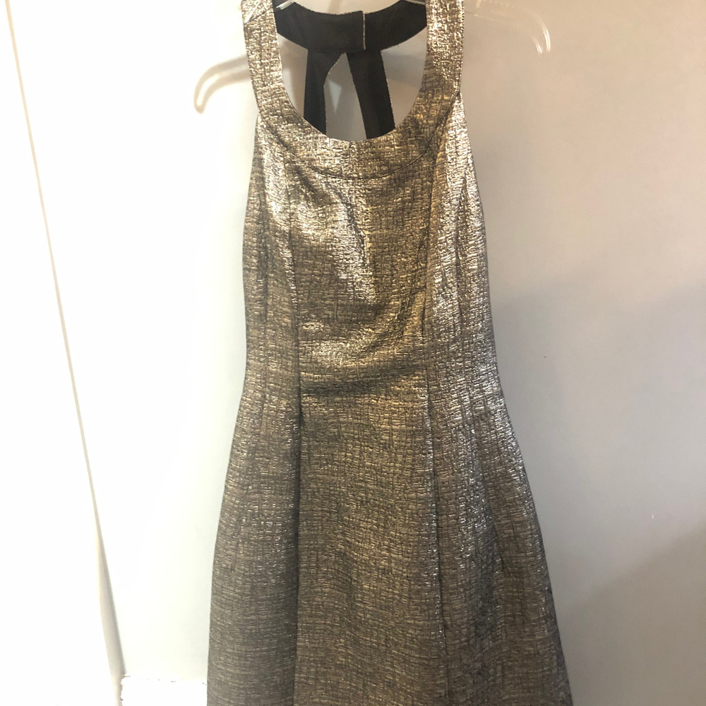 Silver Metallic Fit & Flare dress